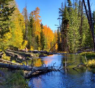 small trout stream utah