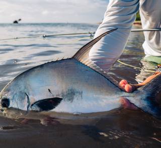 chetumal bay permit