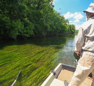 smallmouth bass fly fishing
