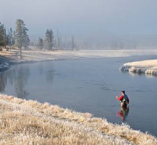 Casting a double taper fly line on the Firehole River in Yellowstone National Park
