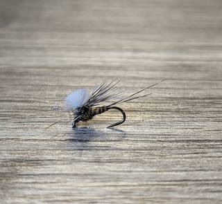 parachute midge fly