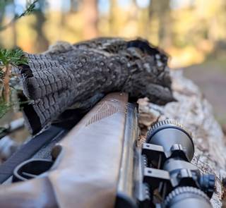 grouse shot with pellet rifle