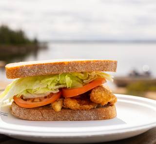 canada north woods fishing shore lunch