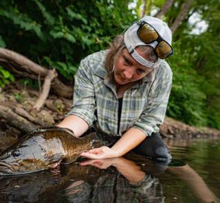 smallmouth bass spongy moth