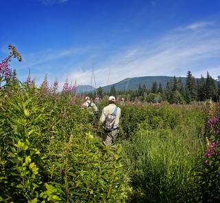 fishermen tongass national forest