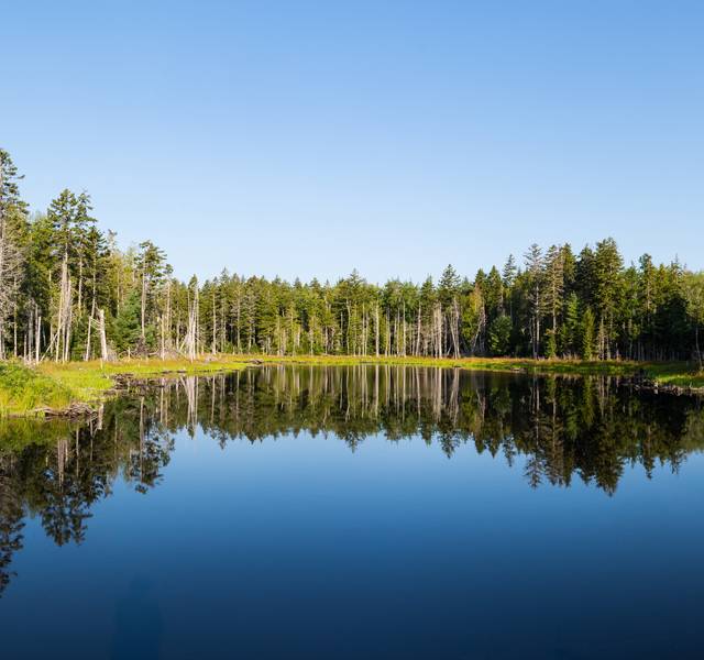 maine pond