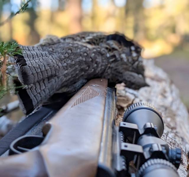 grouse shot with pellet rifle
