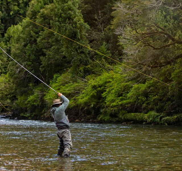 tenkara fly fishing catching trout