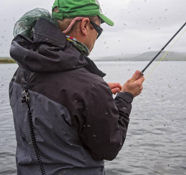 black flies swarming fisherman