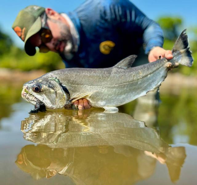 payara fly fishing