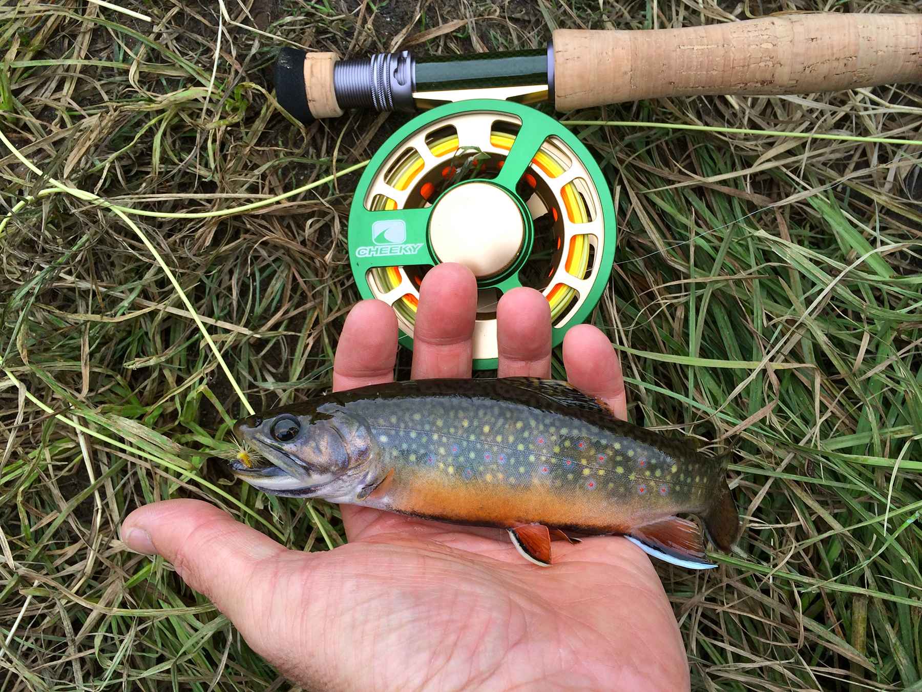 First Fish On The Cheeky Hatch Magazine Fly Fishing Etc