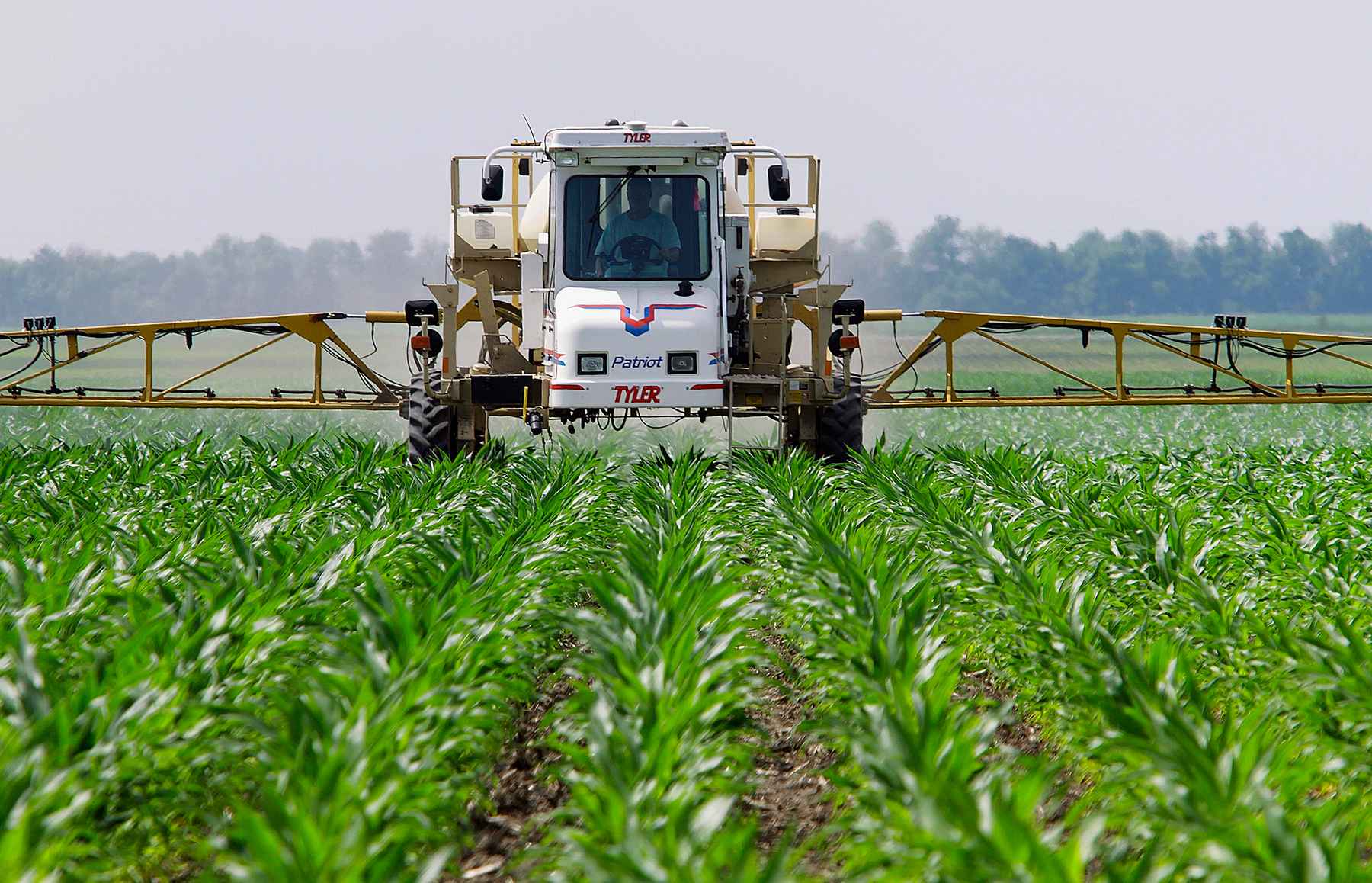 Dumb and dirty ethanol