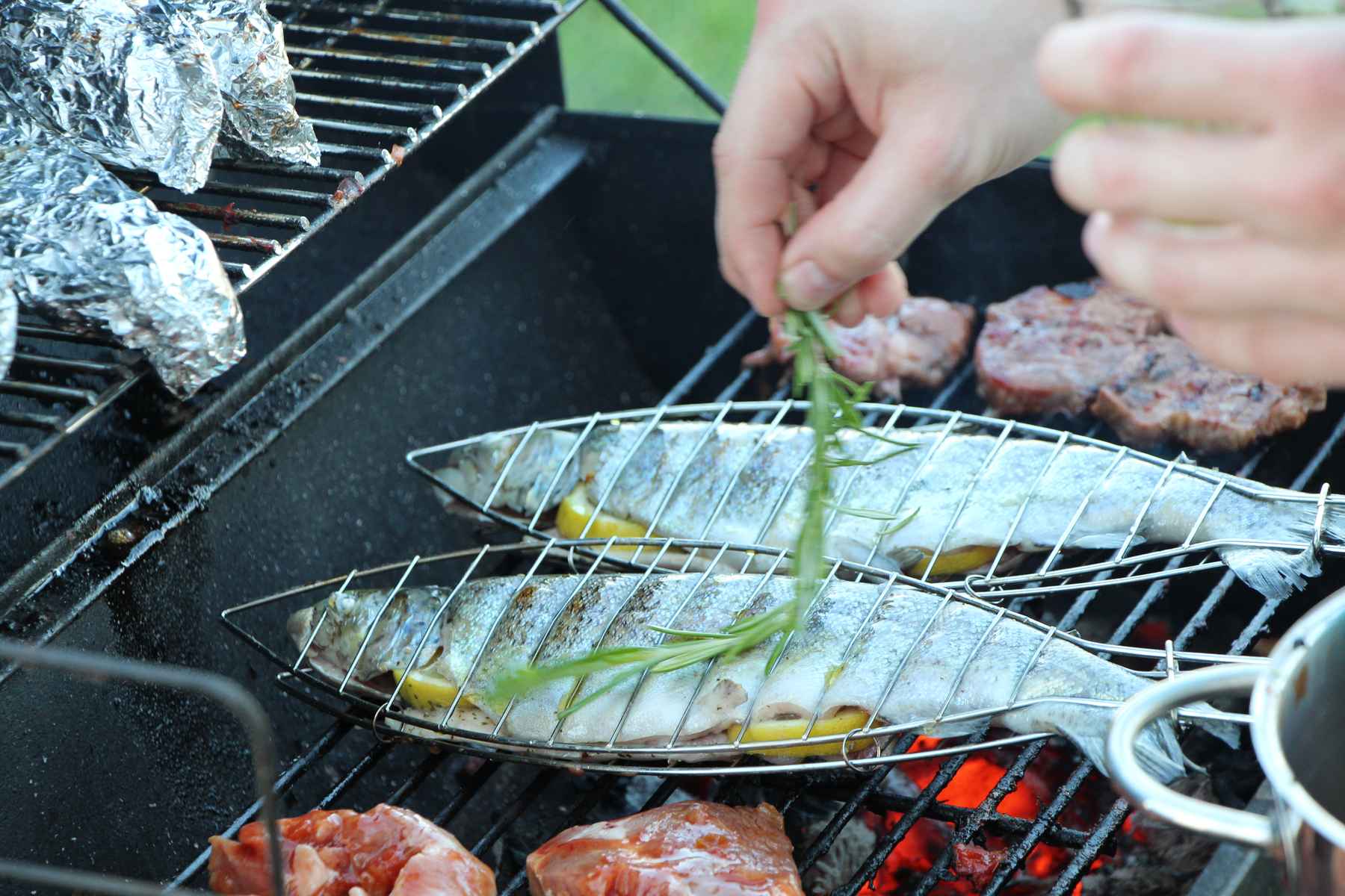 grilling trout