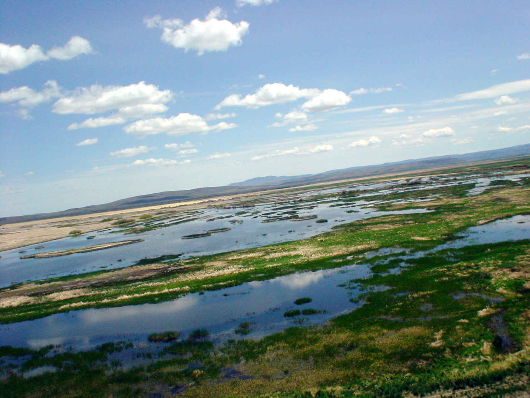 Malheur National Wildlife Refuge wetlands