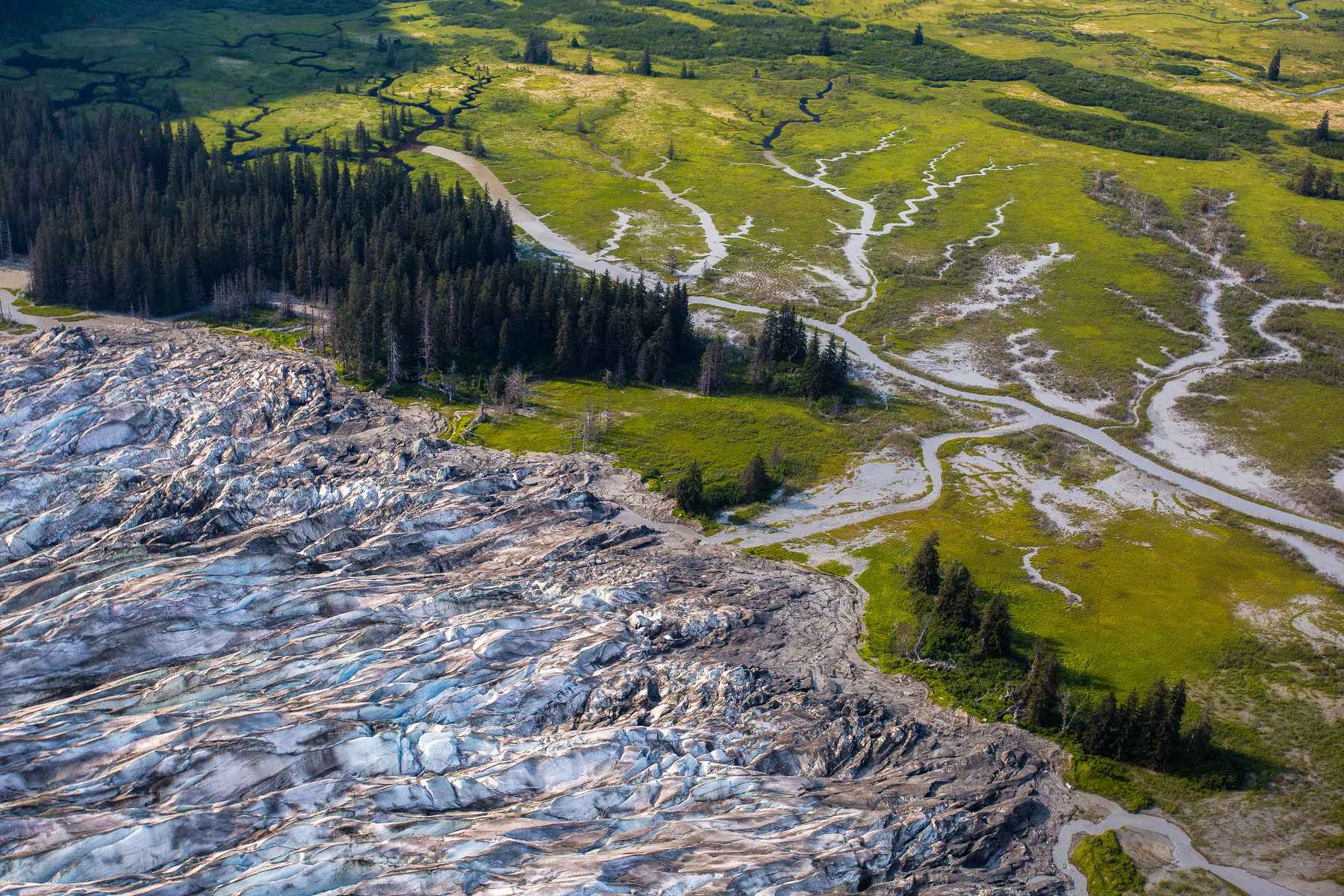 Aerial view of Southeast Alaska rainforest and river meeting the Pacific