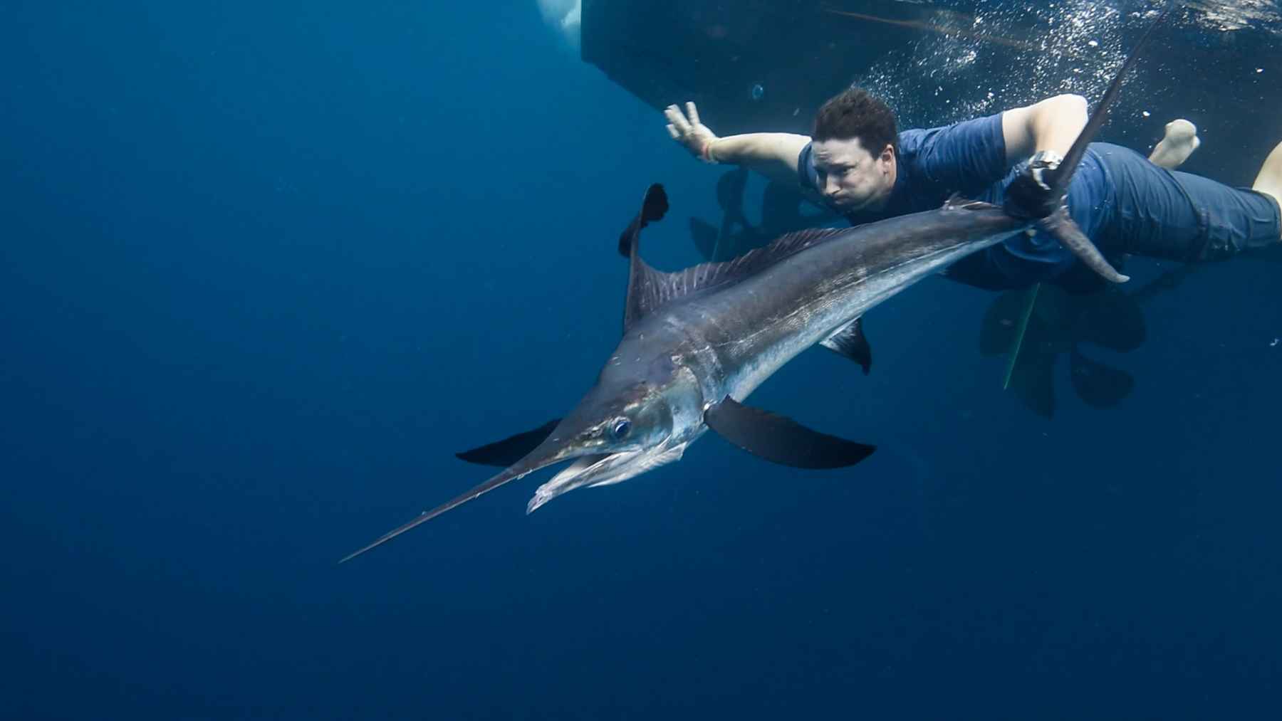 Photo: Two Fisted Heart Productions Tidewater Film - Marlin release