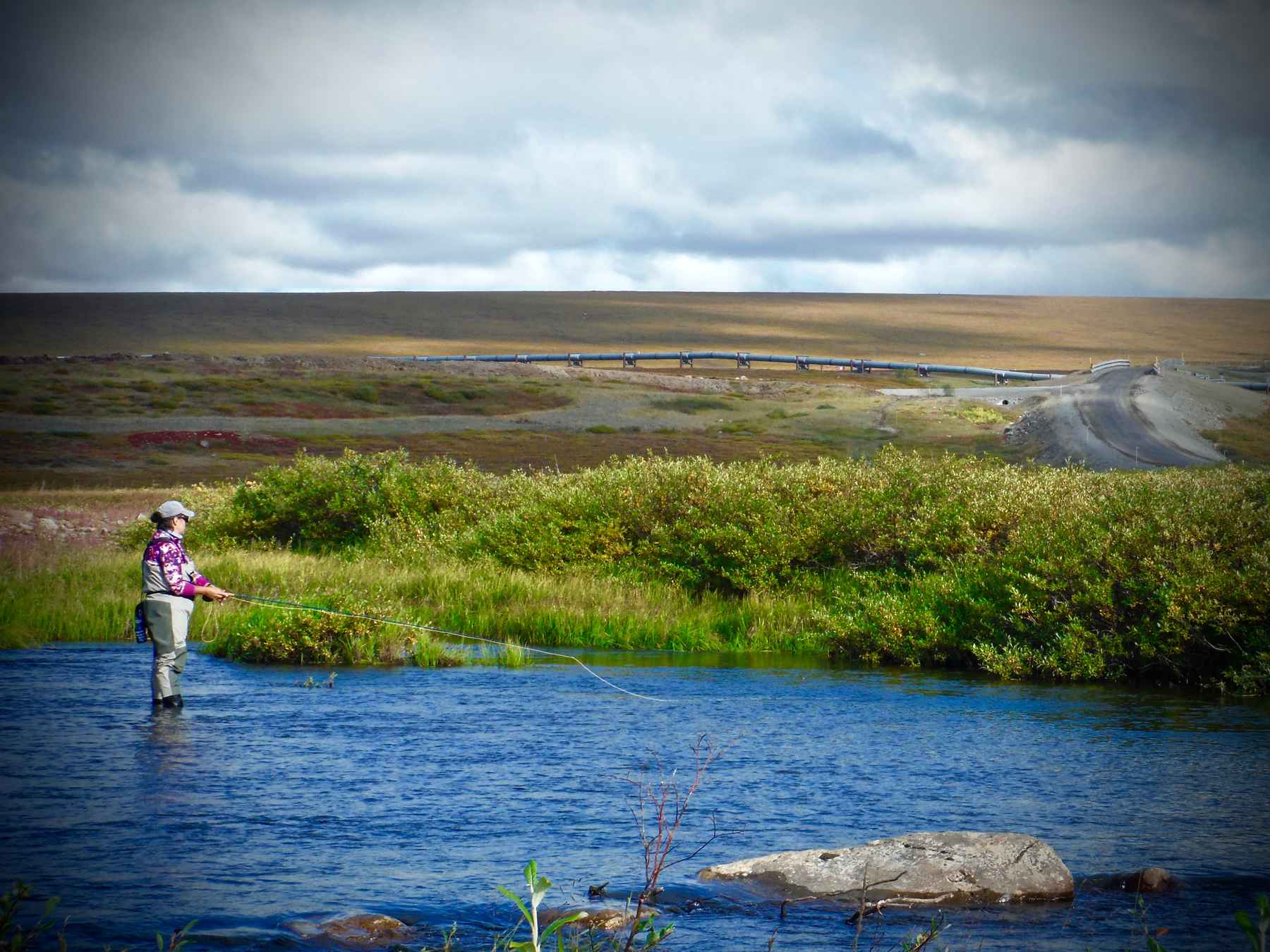 fly fishing alaska's dalton highway