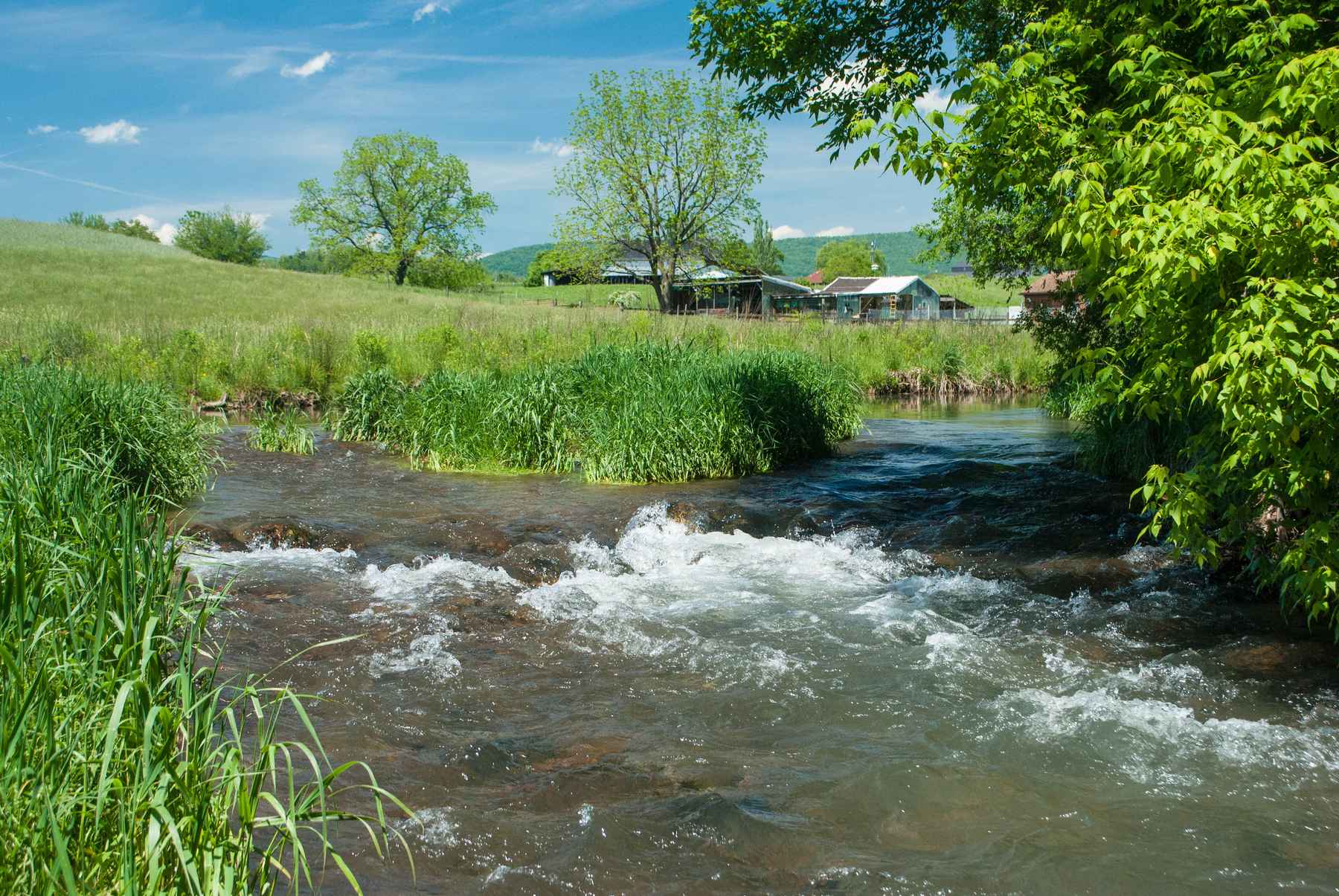 beaver creek, Ottobine, Va