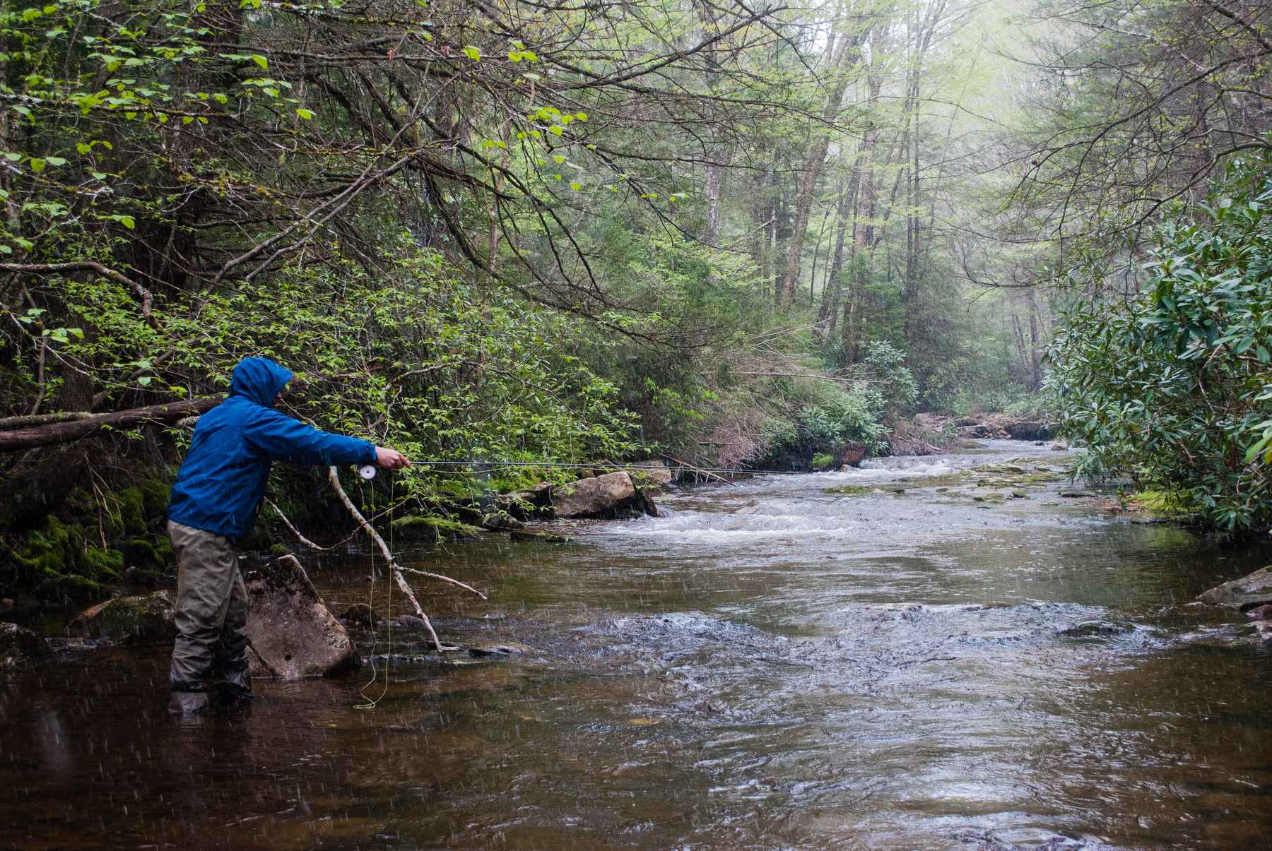 Photo: Matthew Reilly Cranberry National Wilderness - Cranberry River