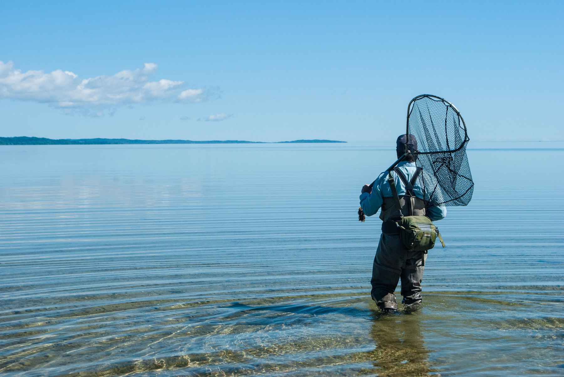 grand traverse bay - fly fishing - carp - lake michigan