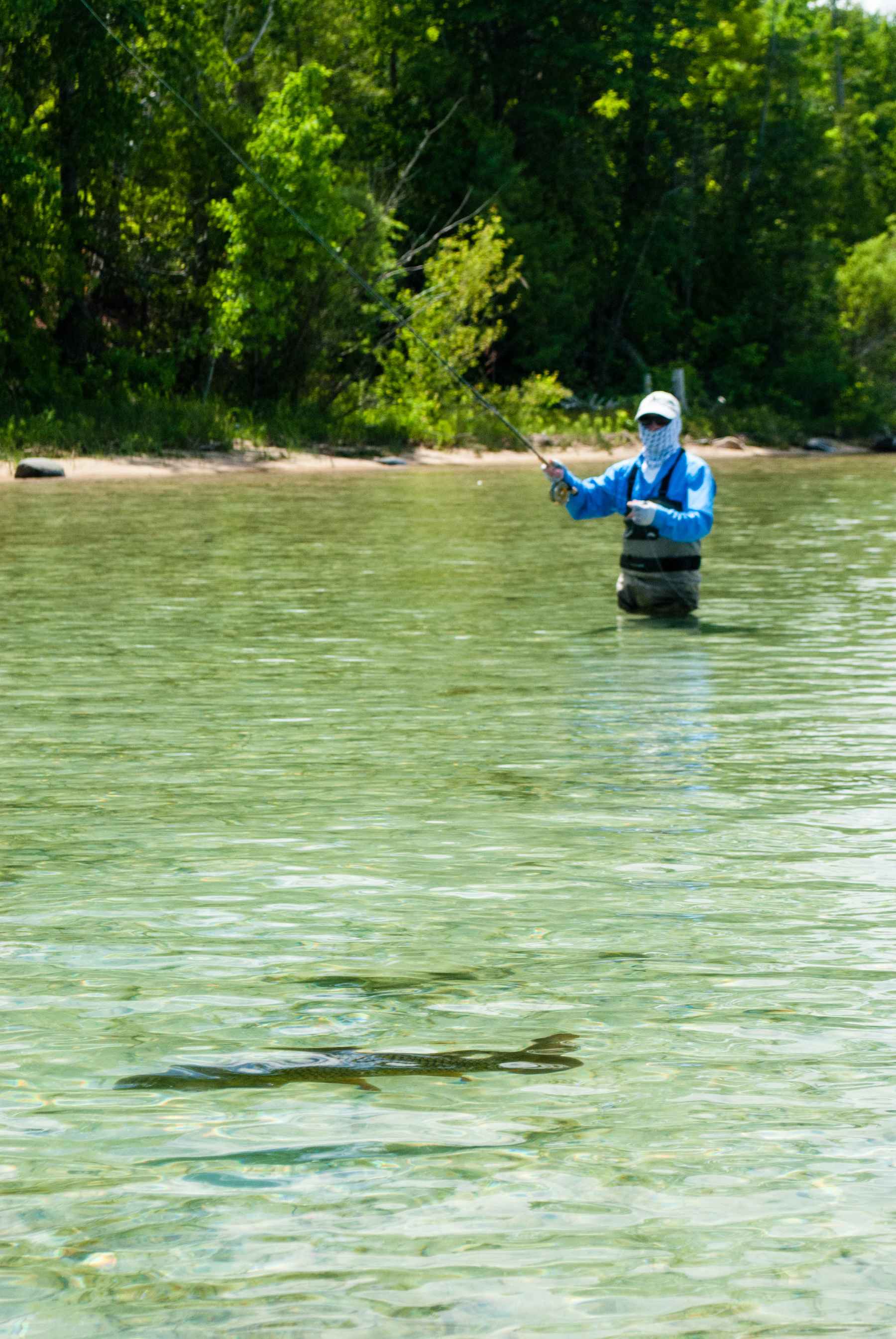 grand traverse bay - fly fishing - carp - lake michigan