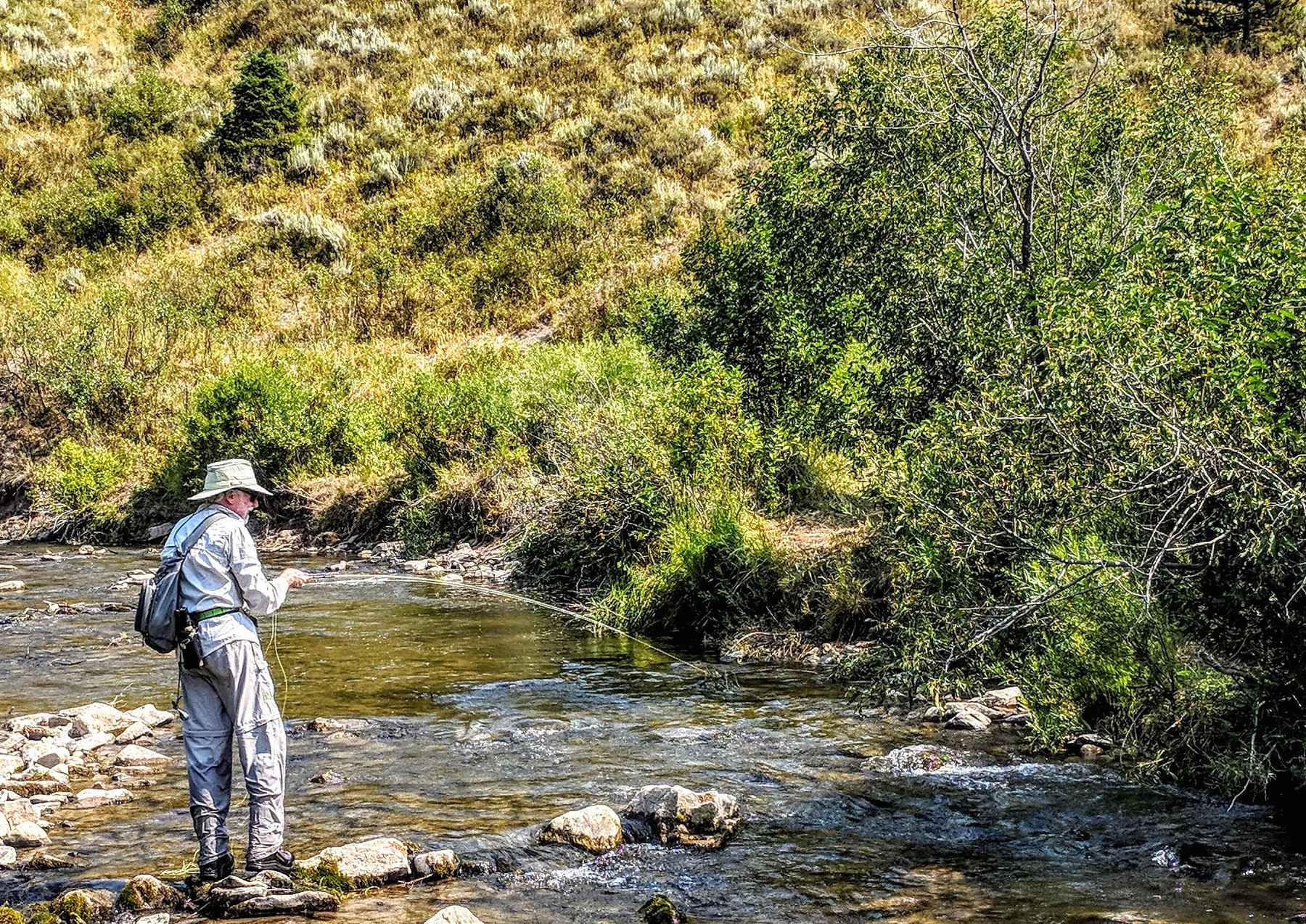 Fly Fishing 3 Tick