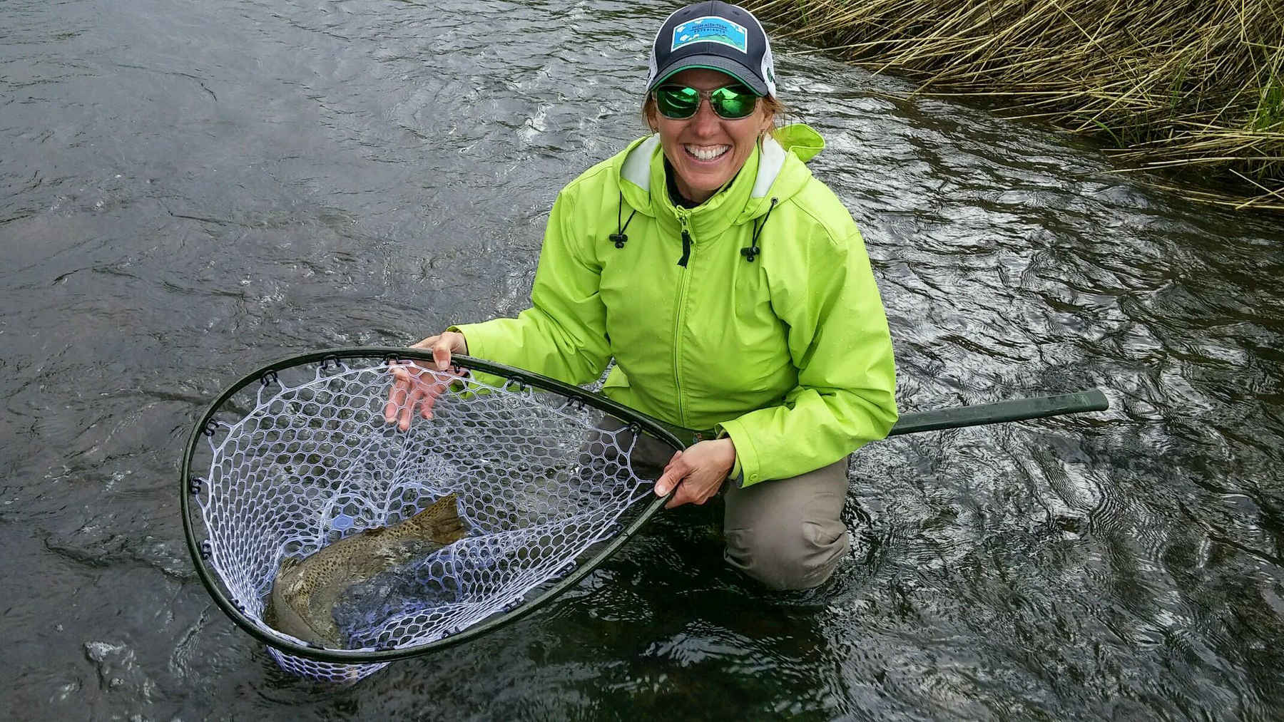 henry's fork brown trout