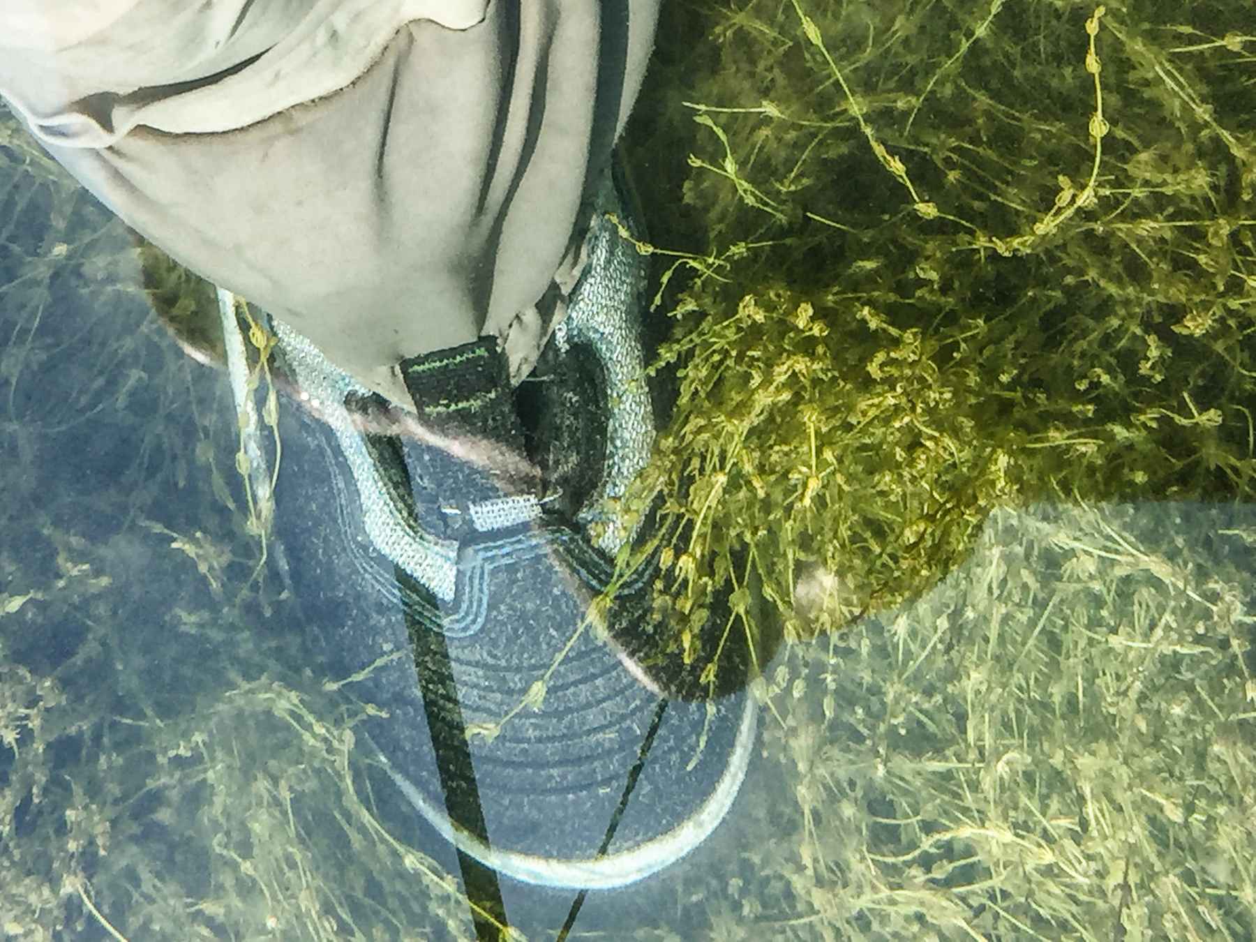 korkers women's darkhorse boa wading boot