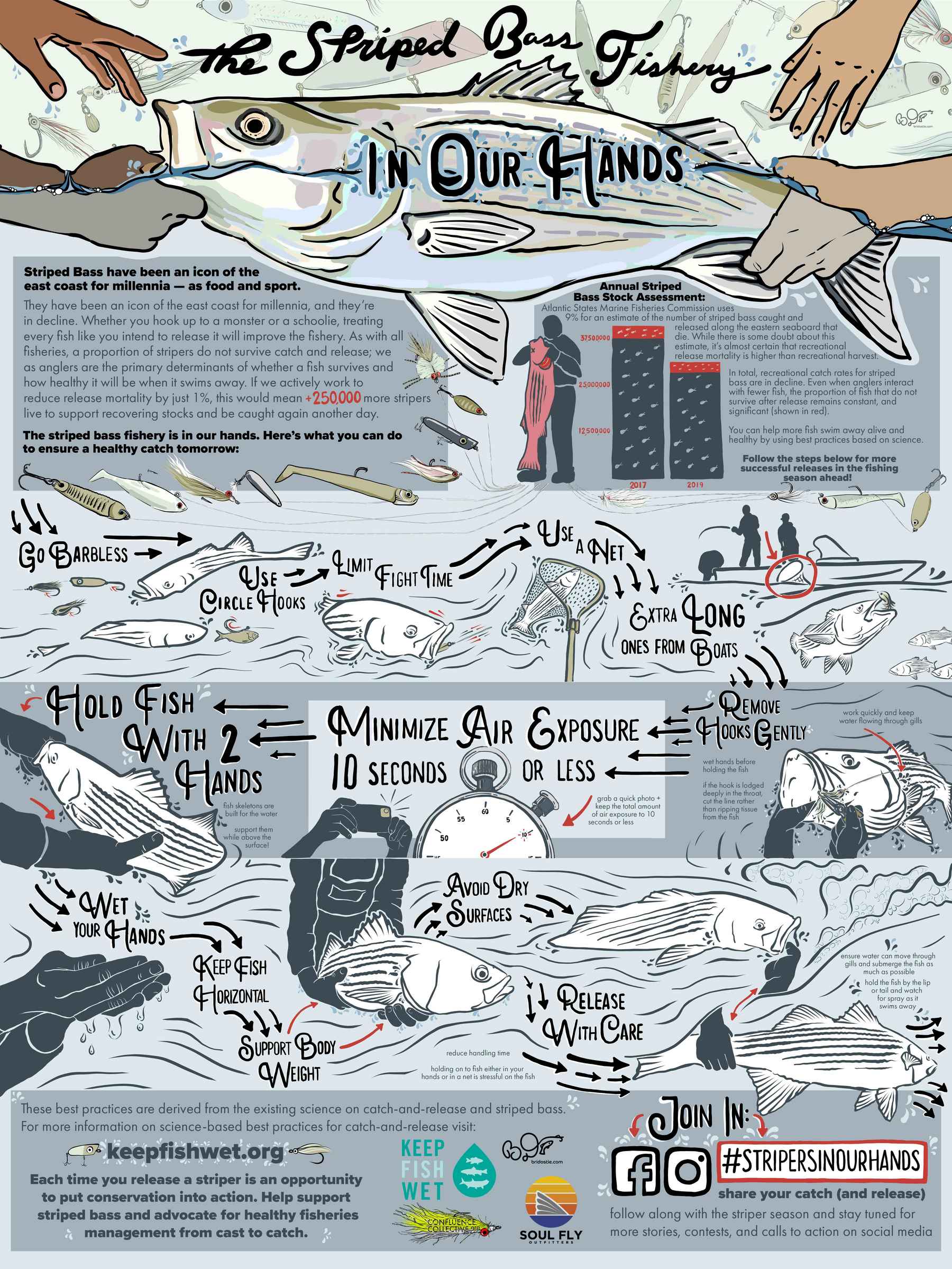 Image: Stripers in Our Hands / Bri Dostie Stripers in Our Hands infographic