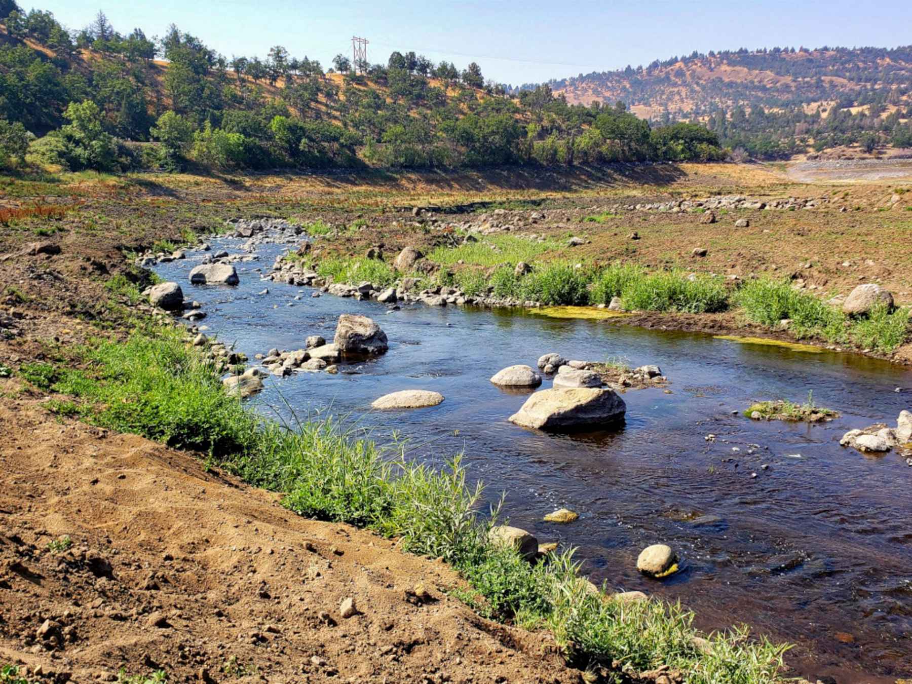 Photo: Juliet Grable Jenny Creek after klamath dam removal
