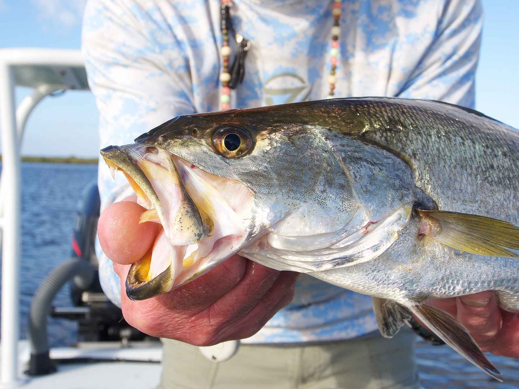 Photo: Johnny Carrol Sain coastal louisiana sea trout