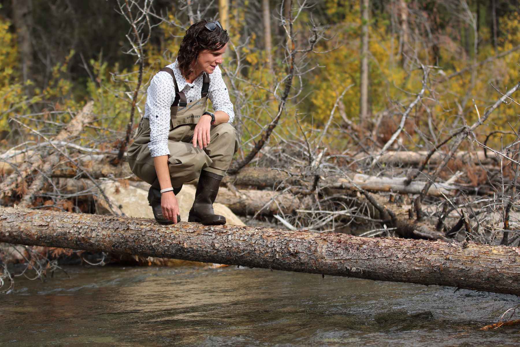cassi wood - trout unlimited