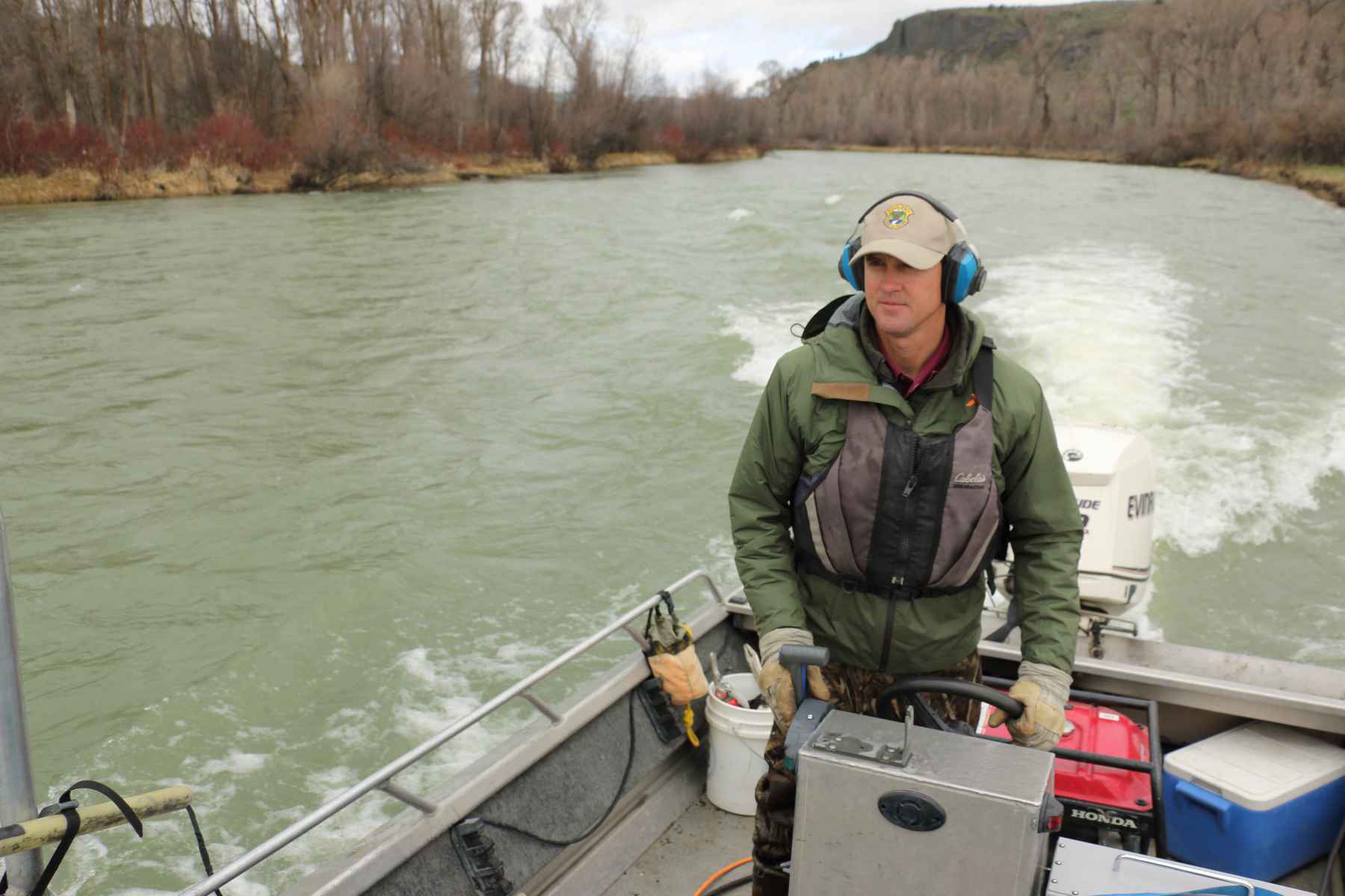 what do brown trout eat