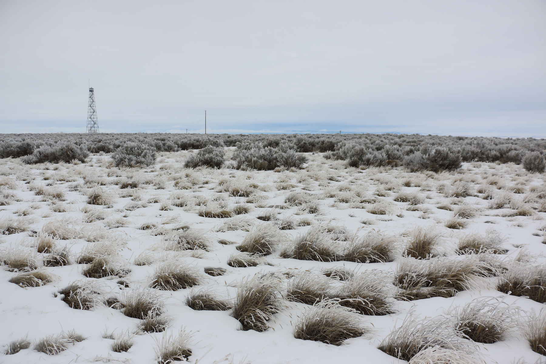 Malheur National Widlife Refuge Oregon