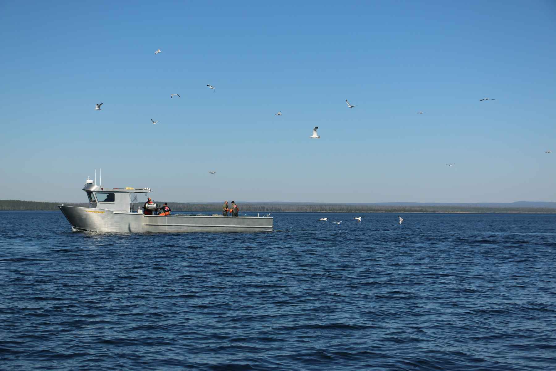 gilnetting boat yellowstone lake