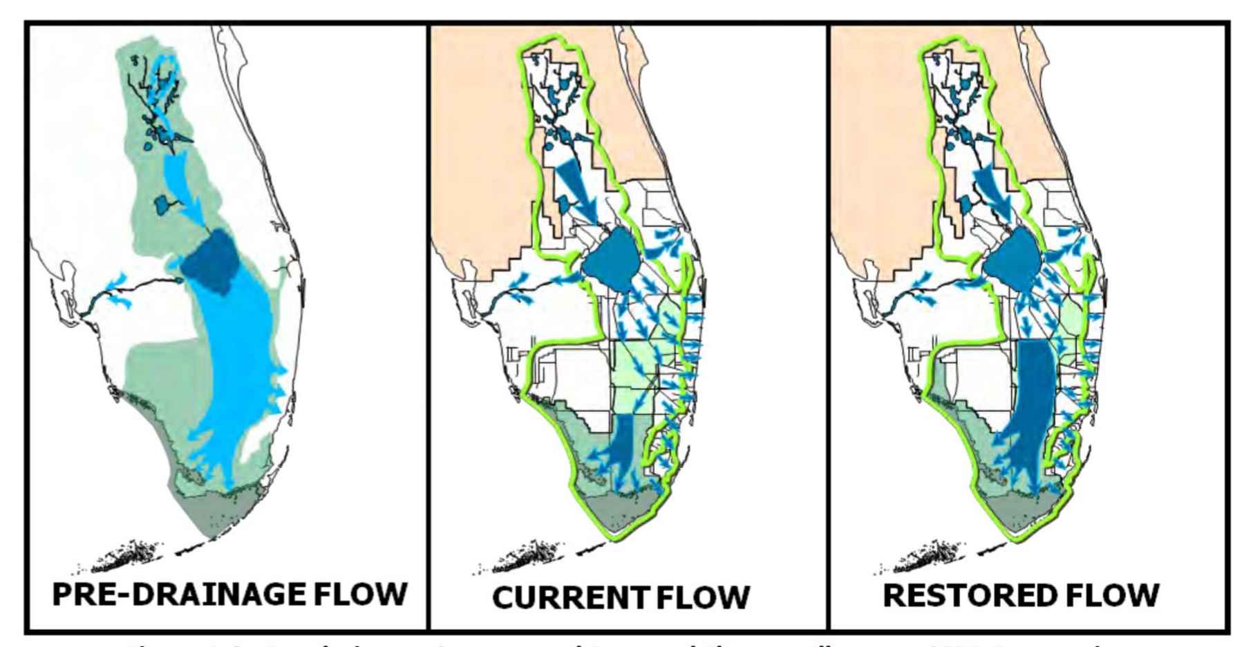 Pre-drainage, current and future restored flow planned under the Central Everglades Restoration Project (illustration: USACE).. cerp flow restoration