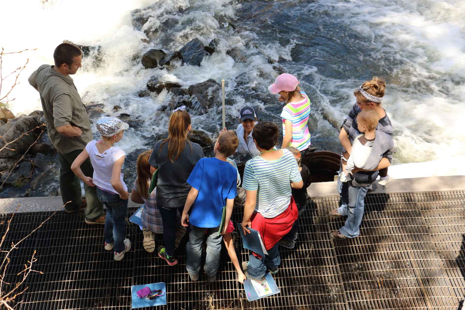 Trout Unlimited Trout in the Classroom