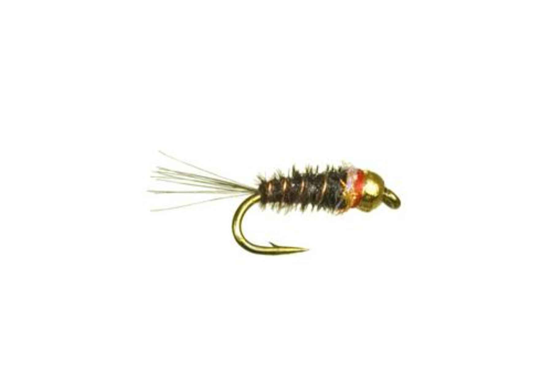 Umpqua's Frenchie Umpqua's Frenchie