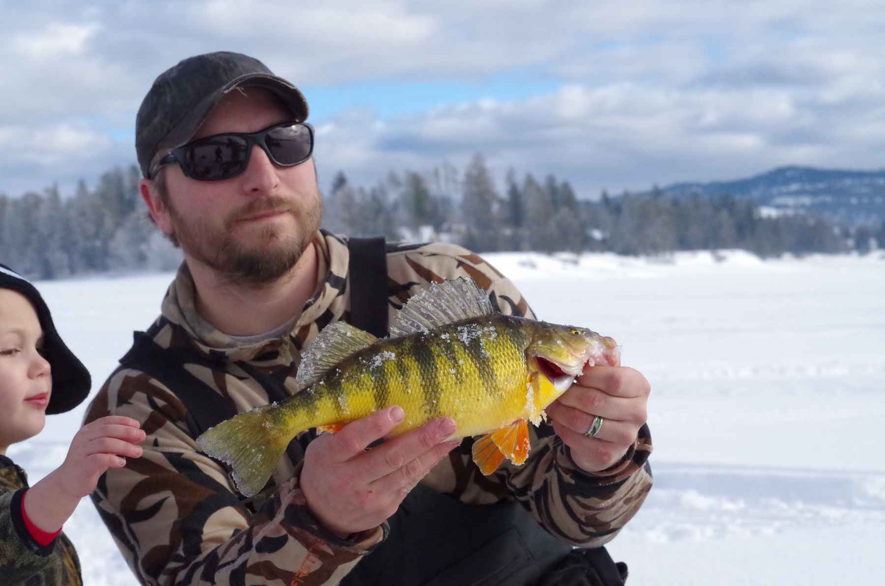 Catch and Release Records - Tom McCleod - Yellow Perch