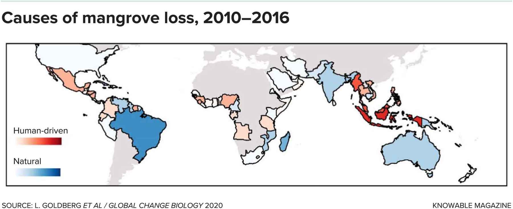 mangrove loss causes diagram