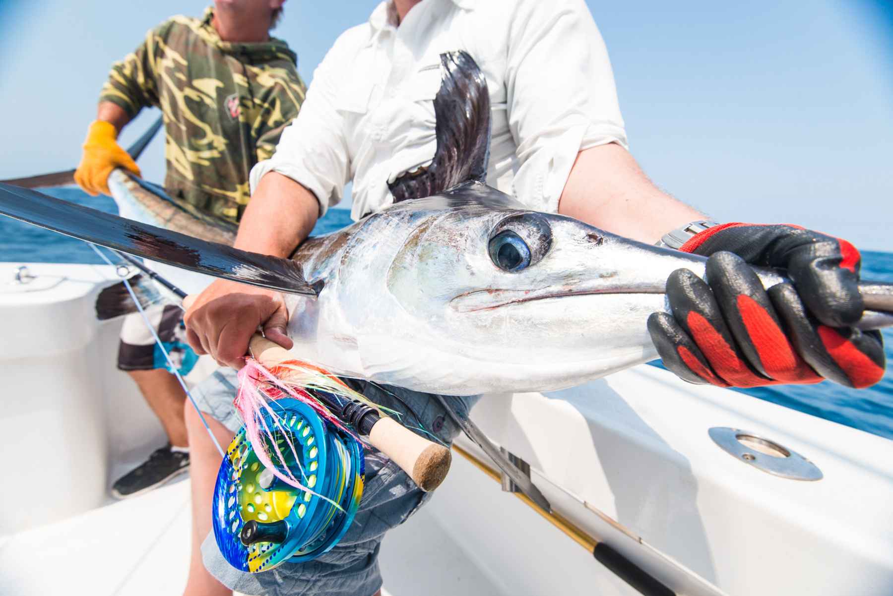 Photo: Two Fisted Heart Productions Marlin fly fishing
