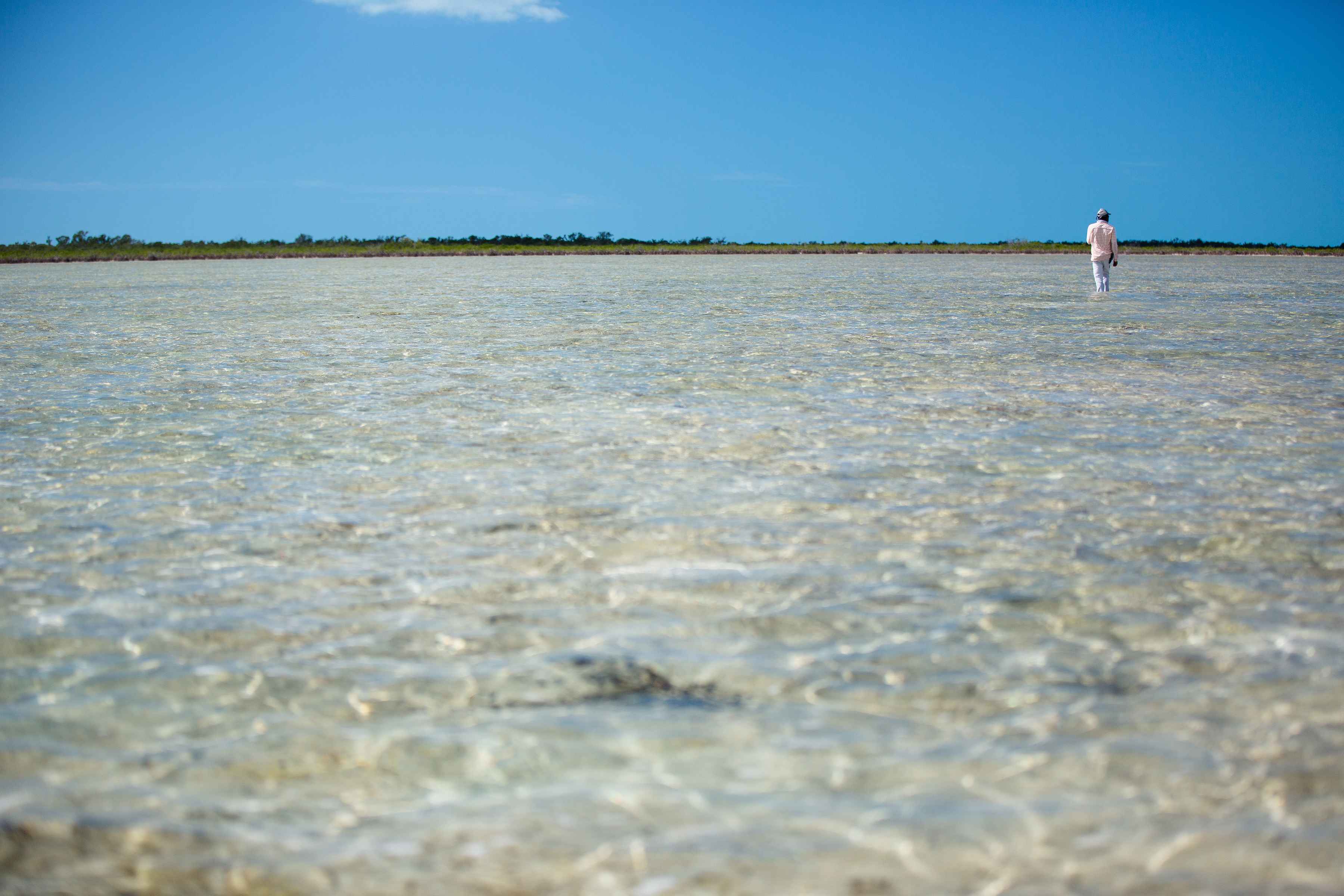 Andros' seemingly endless flats (photo: Chad Shmukler). andros island flats bahamas