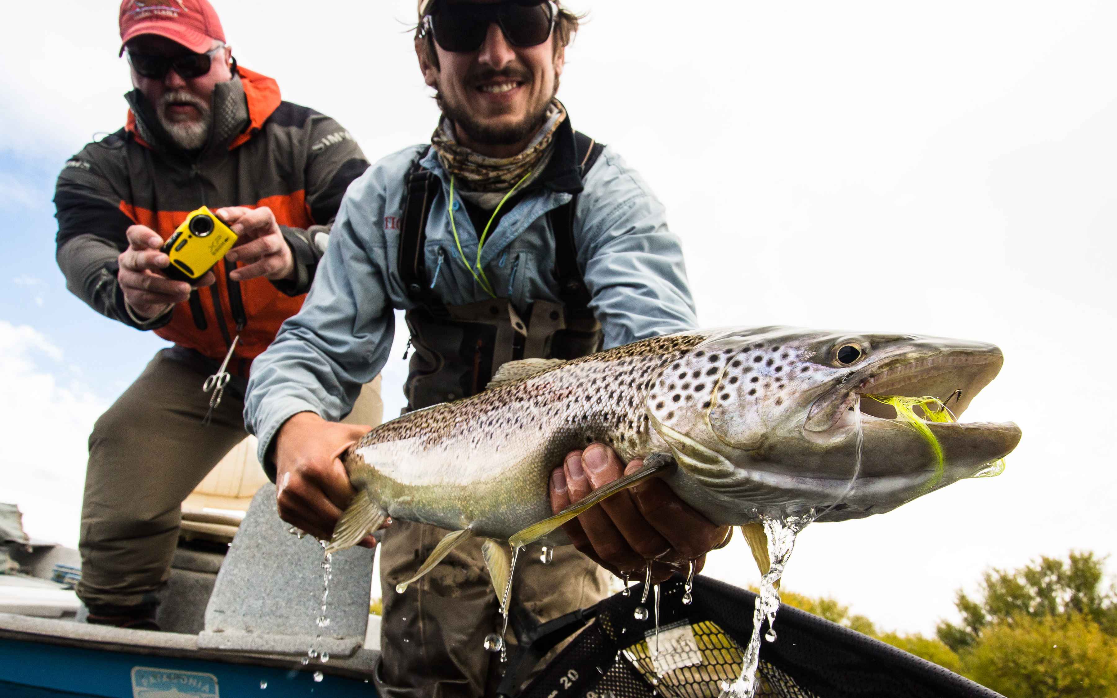 A trophy Patagonian brown trout (photo: Chad Shmukler). trophy patagonia brown trout