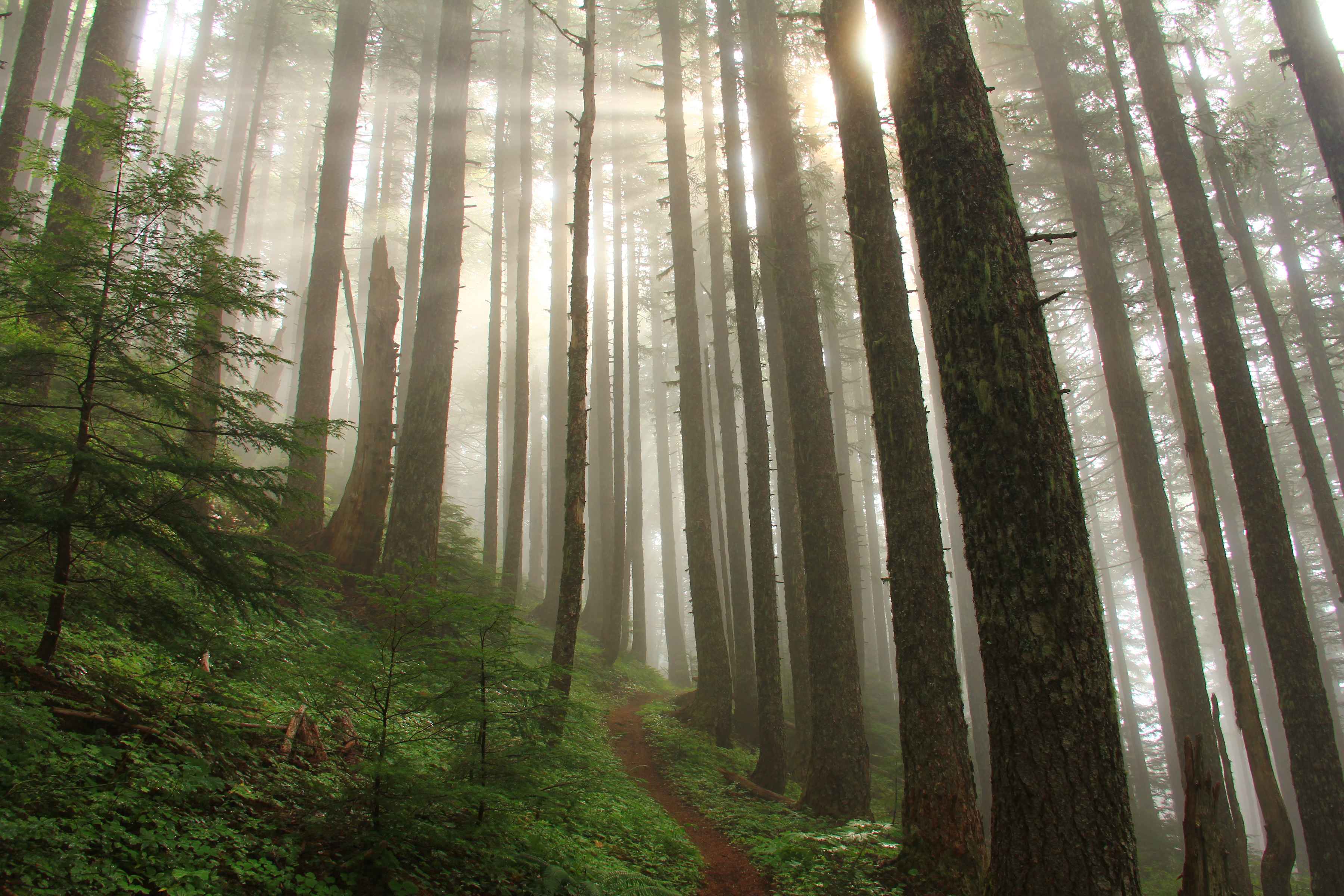 table rock wilderness oregon