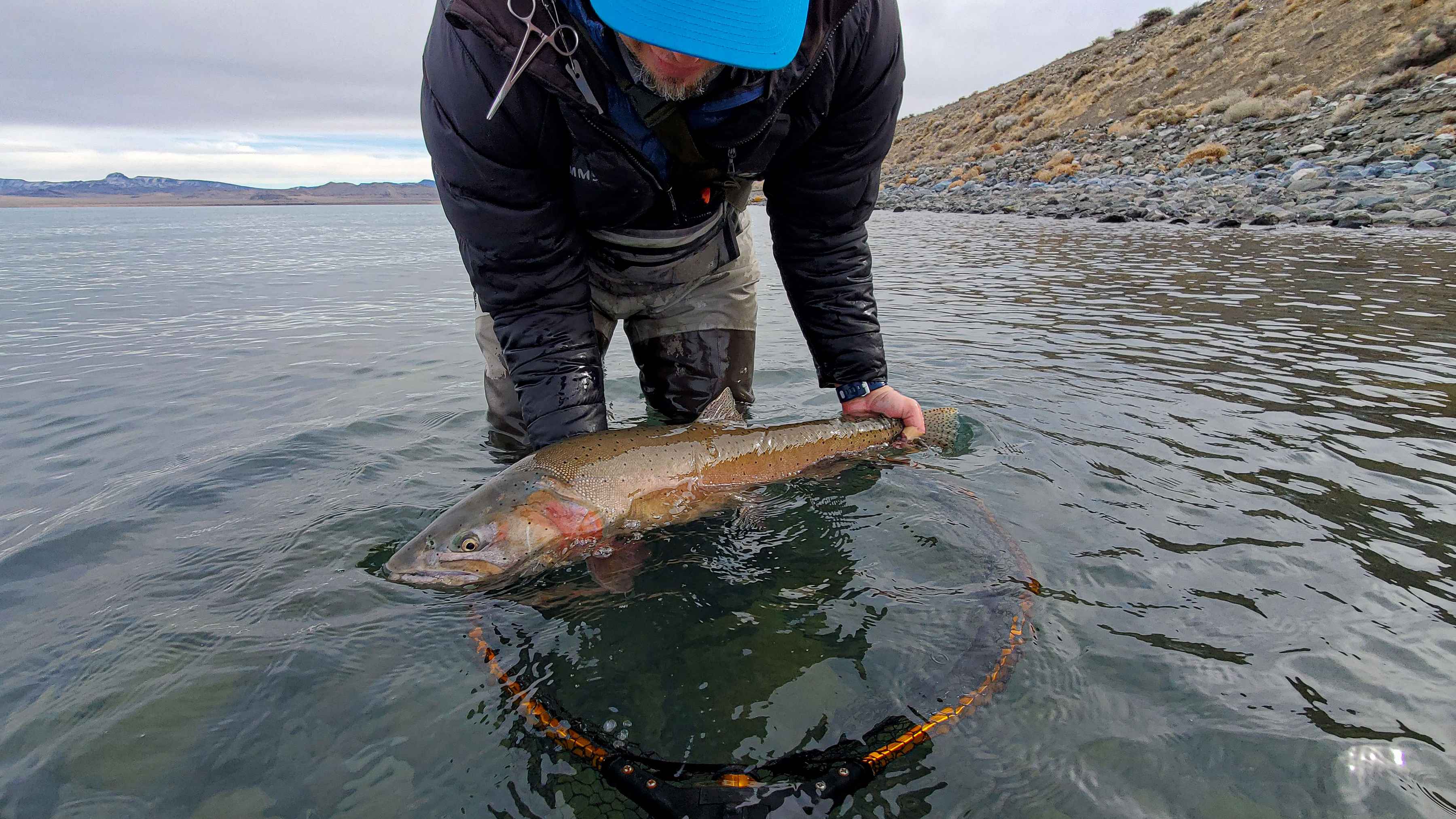 Photo: Hyrum Weaver pyramid lake cutthroat trout