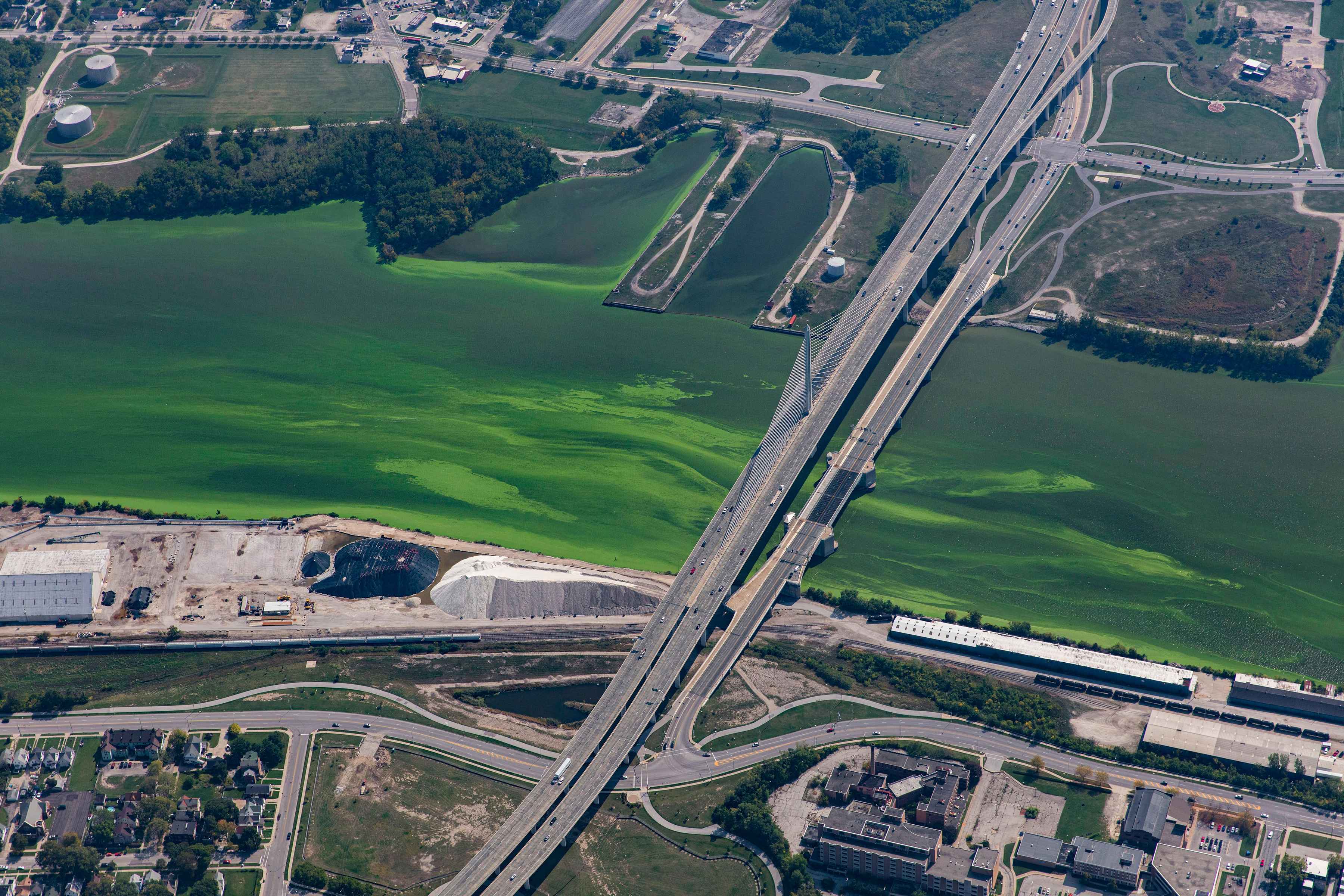 A harmful algal bloom in the Maumee River in Toledo, Ohio