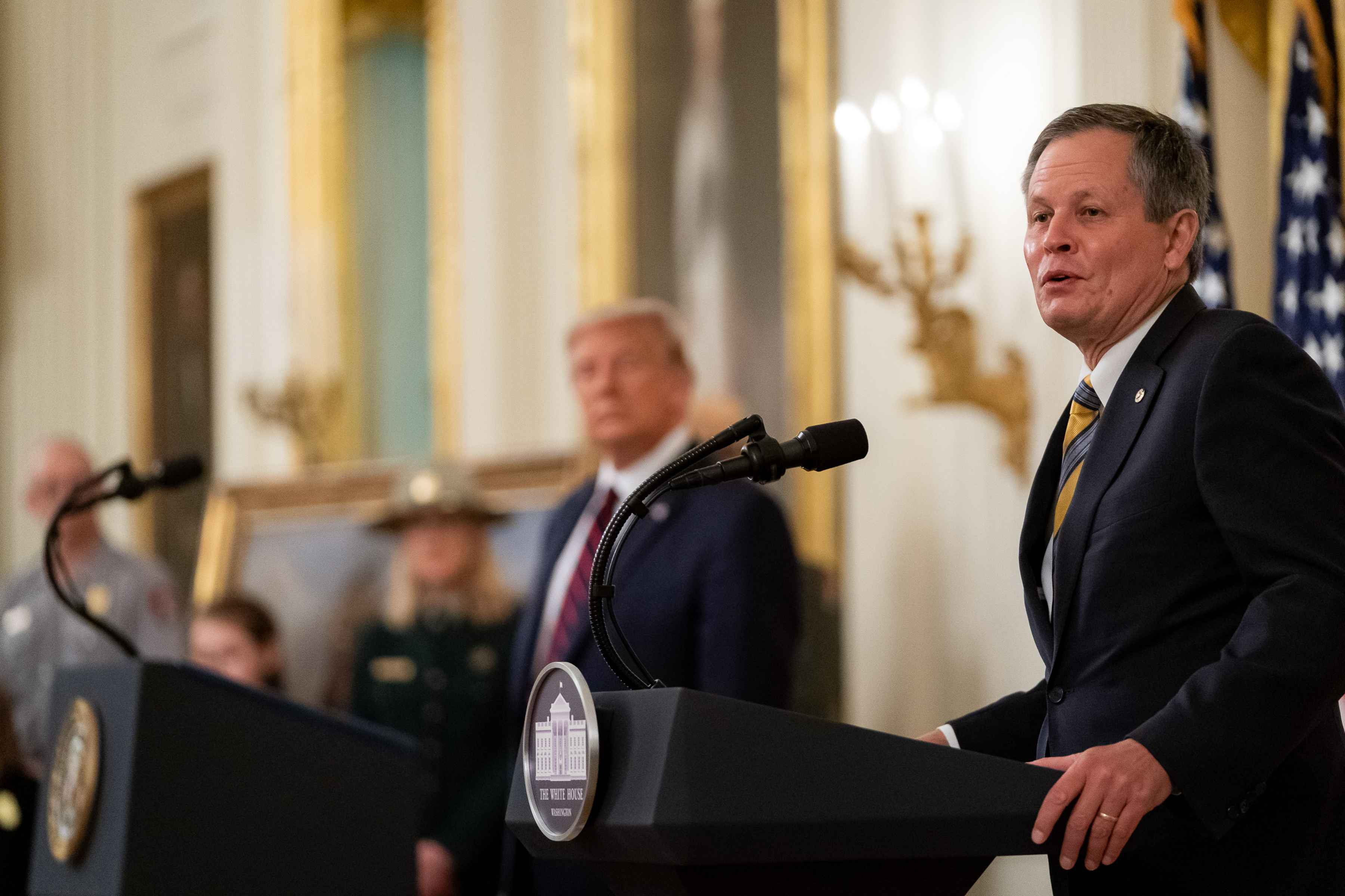 steve daines donald trump