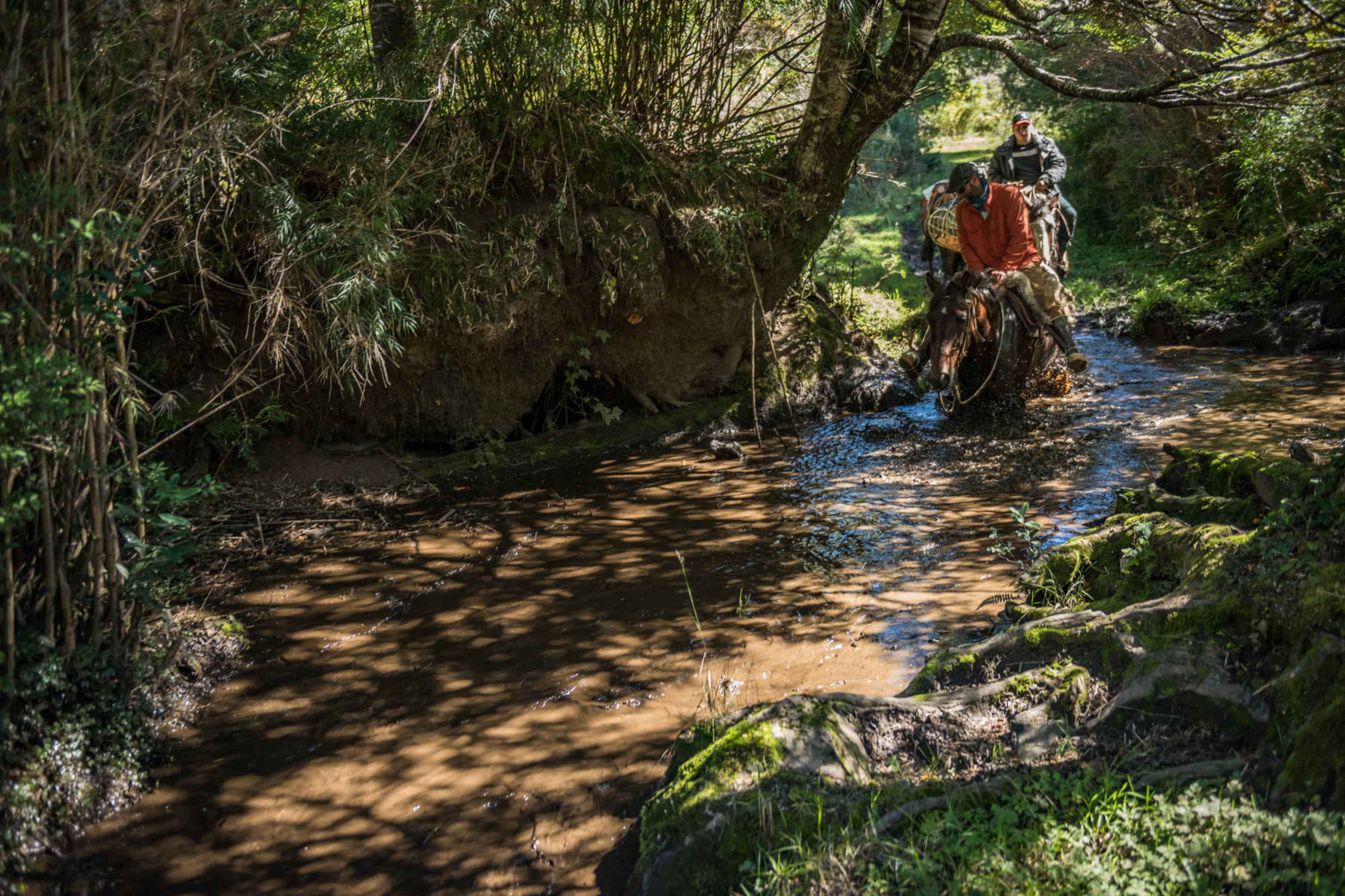 There are only two ways into camp: by helicopter or horseback. Which way you choose is largely up to you. Some anglers prefer the speed of the helicopter, others prefer the adventurous horse ride through the mountains and into the Blanco valley (photo: Hank Welles).