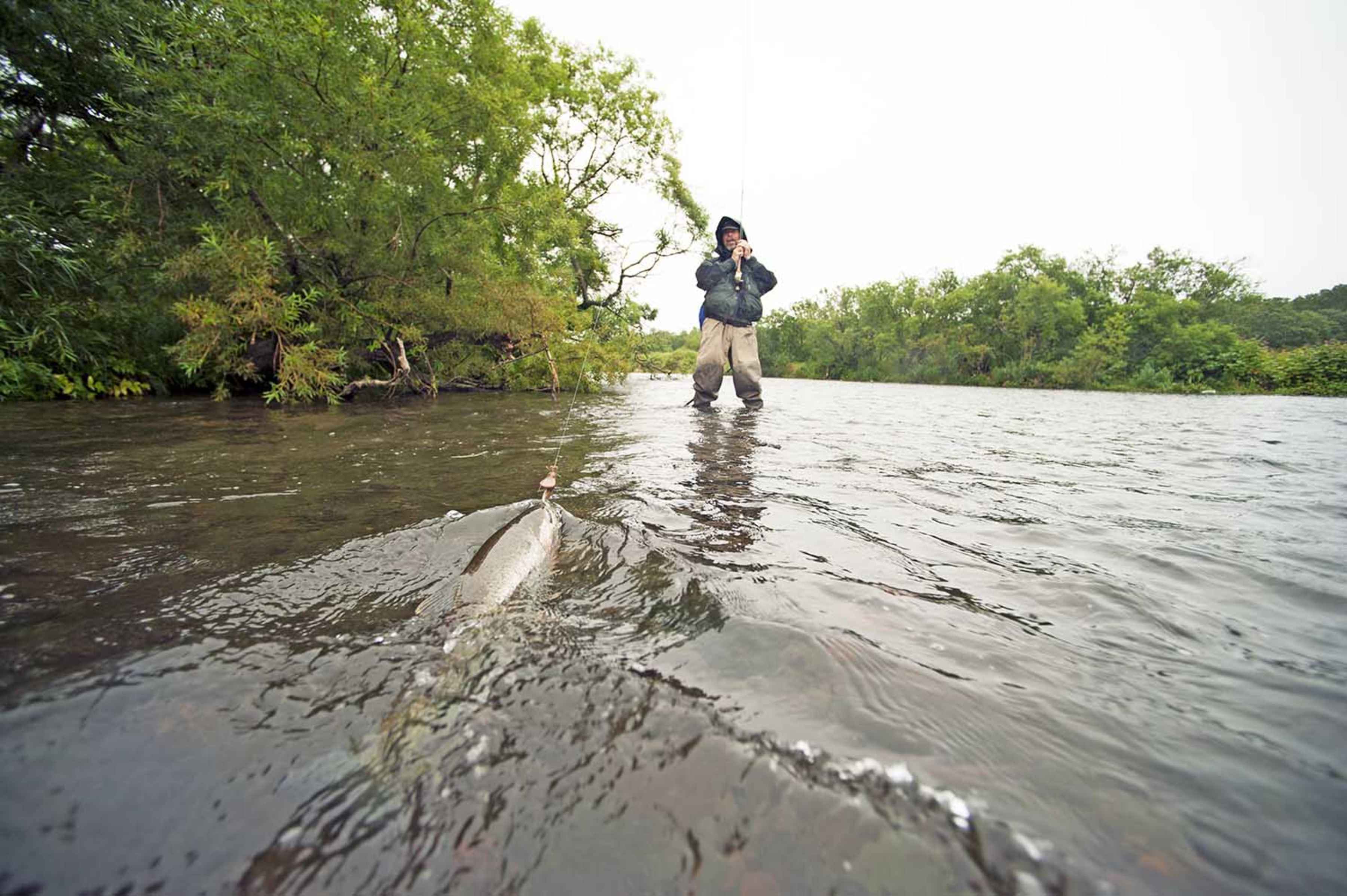 fly fishing savan river