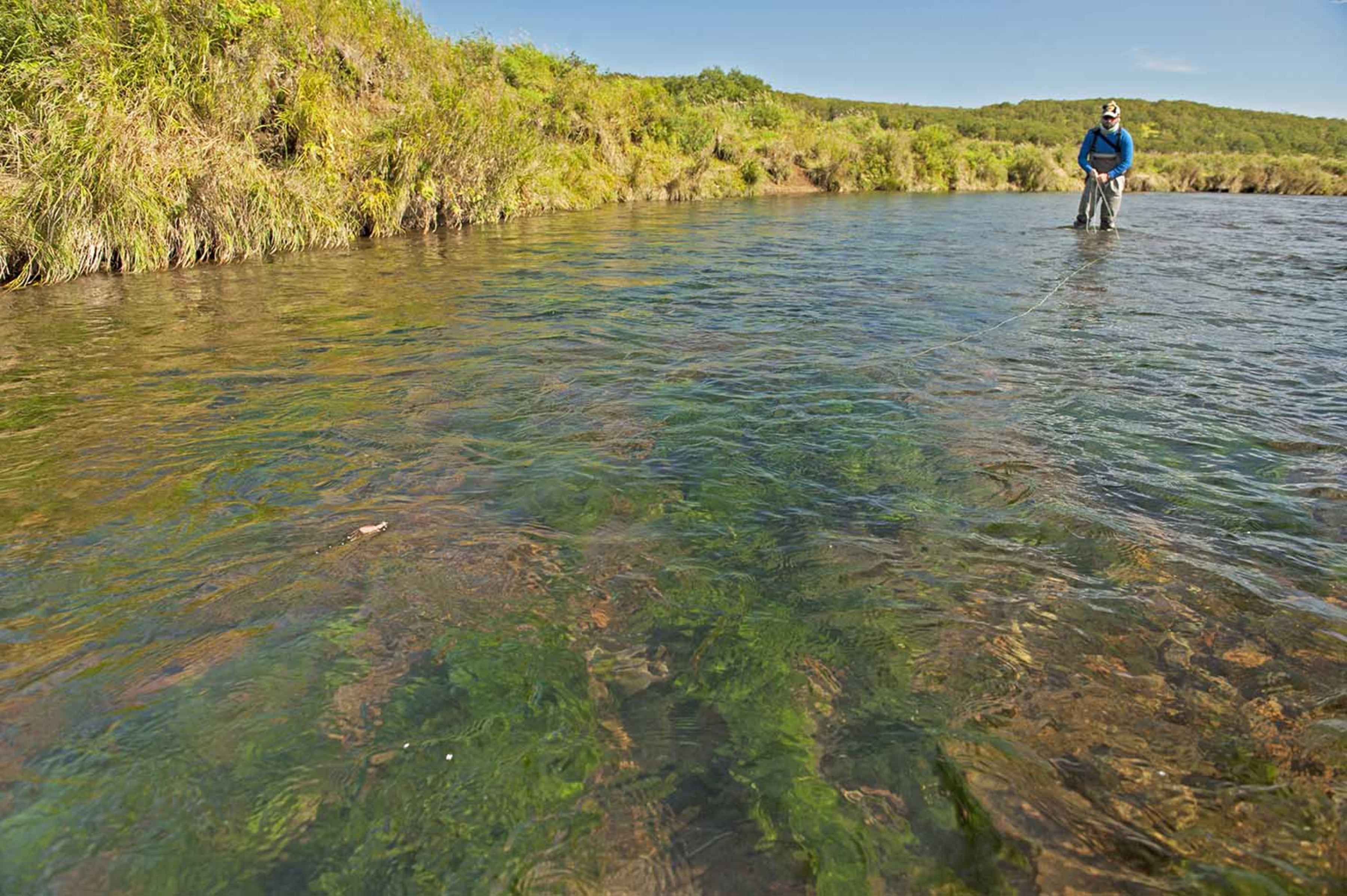 mouse fishing kamchatka savan river